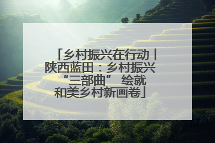 乡村振兴在行动丨陕西蓝田：乡村振兴 “三部曲” 绘就和美乡村新画卷