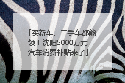 买新车、二手车都能领！沈阳5000万元汽车消费补贴来了