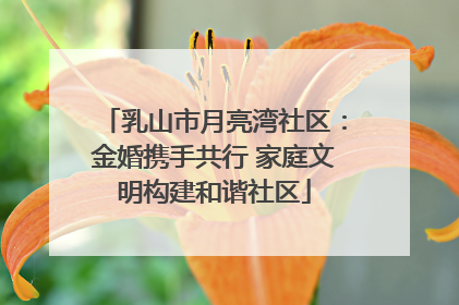 乳山市月亮湾社区：金婚携手共行 家庭文明构建和谐社区