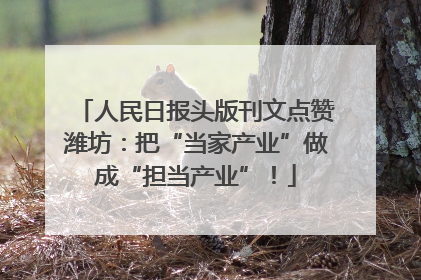 人民日报头版刊文点赞潍坊：把“当家产业”做成“担当产业”！