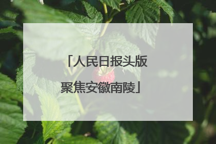 人民日报头版聚焦安徽南陵