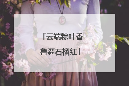 云端粽叶香 鲁疆石榴红