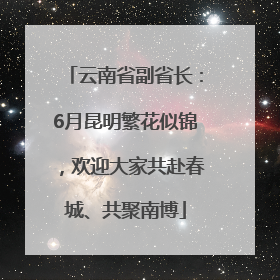 云南省副省长：6月昆明繁花似锦，欢迎大家共赴春城、共聚南博
