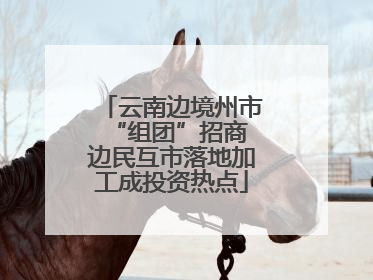 云南边境州市“组团”招商 边民互市落地加工成投资热点