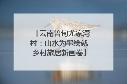云南鲁甸尤家湾村：山水为墨绘就乡村旅居新画卷