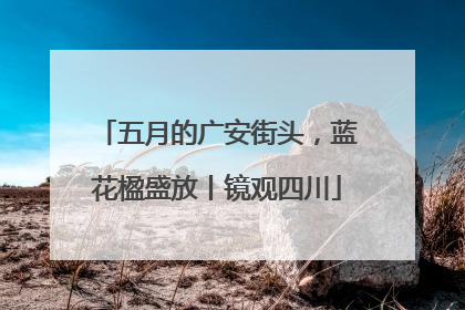 五月的广安街头，蓝花楹盛放丨镜观四川