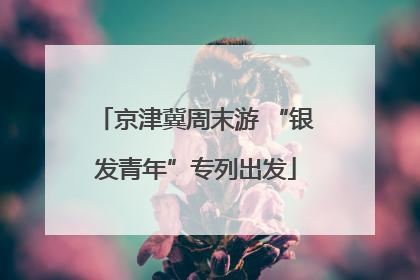 京津冀周末游 “银发青年”专列出发