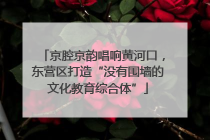 京腔京韵唱响黄河口，东营区打造“没有围墙的文化教育综合体”