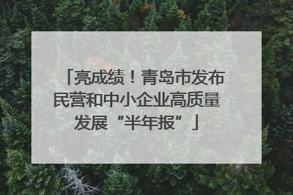 亮成绩！青岛市发布民营和中小企业高质量发展“半年报”