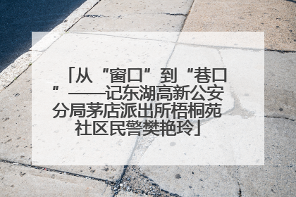 从“窗口”到“巷口”——记东湖高新公安分局茅店派出所梧桐苑社区民警樊艳玲