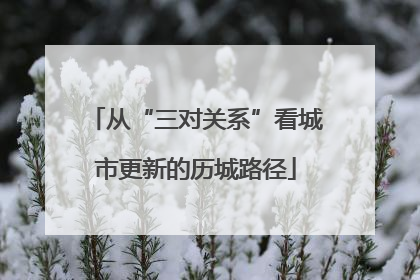 从“三对关系”看城市更新的历城路径