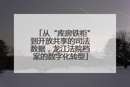 从“库房铁柜”到开放共享的司法数据，龙江法院档案的数字化转型