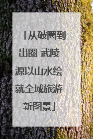 从破圈到出圈 武陵源以山水绘就全域旅游新图景