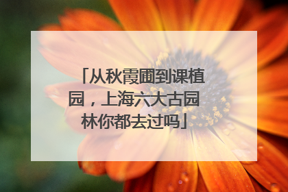 从秋霞圃到课植园，上海六大古园林你都去过吗