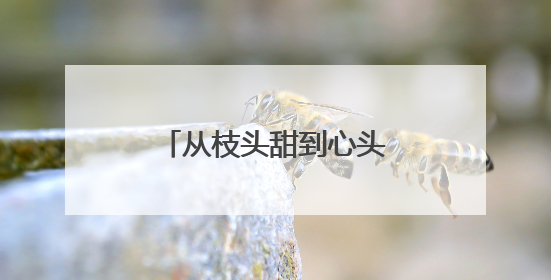 从枝头甜到心头，海南邮政快速助“荔”出岛