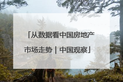 从数据看中国房地产市场走势｜中国观察
