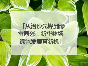 从治沙先锋到绿富同兴：新华林场绿色发展育新机