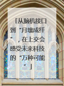 从脑机接口到“月壤成纤”，在上交会感受未来科技的“万种可能”