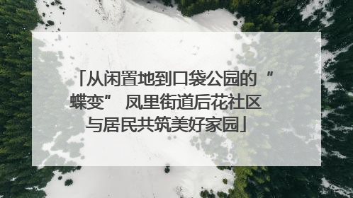 从闲置地到口袋公园的“蝶变” 凤里街道后花社区与居民共筑美好家园
