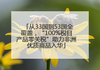 从33国到53国全覆盖，“100%税目产品零关税”助力非洲优质商品入华