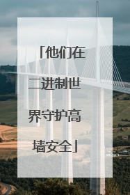 他们在二进制世界守护高墙安全