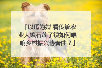 以瓜为媒 看传统农业大镇石莲子镇如何唱响乡村振兴协奏曲？