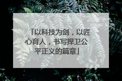 以科技为剑，以匠心育人，书写捍卫公平正义的篇章