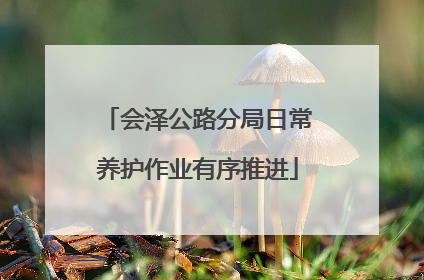 会泽公路分局日常养护作业有序推进