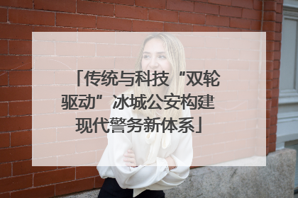 传统与科技“双轮驱动”冰城公安构建现代警务新体系