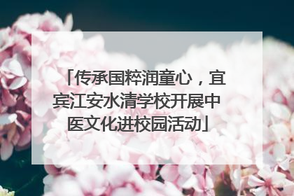 传承国粹润童心，宜宾江安水清学校开展中医文化进校园活动