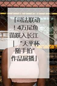 司法联动！4万尾鱼苗跃入长江｜“天平杯·随手拍”作品展播