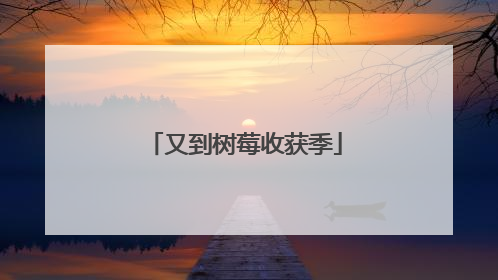 又到树莓收获季