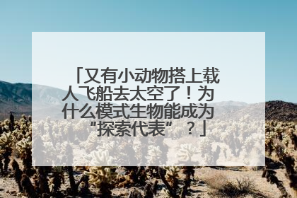 又有小动物搭上载人飞船去太空了！为什么模式生物能成为“探索代表”？