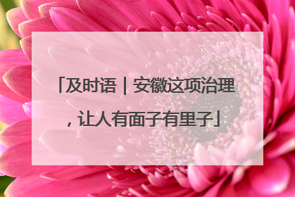 及时语｜安徽这项治理，让人有面子有里子
