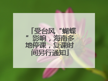 受台风“蝴蝶”影响，海南多地停课，复课时间另行通知