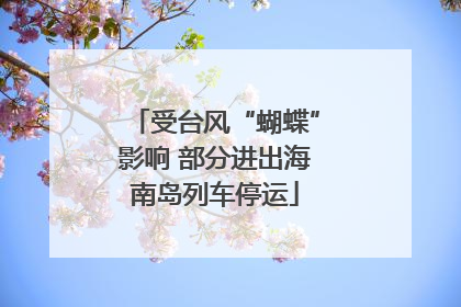 受台风“蝴蝶”影响 部分进出海南岛列车停运