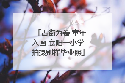 古街为卷 童年入画 襄阳一小学拍摄别样毕业照