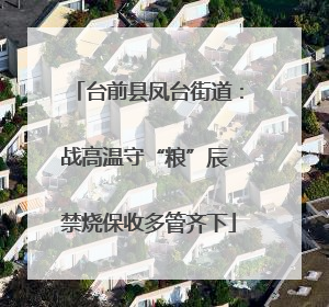 台前县凤台街道：战高温守“粮”辰 禁烧保收多管齐下