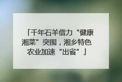 千年石羊借力“健康湘菜”突围，湘乡特色农业加速“出省”