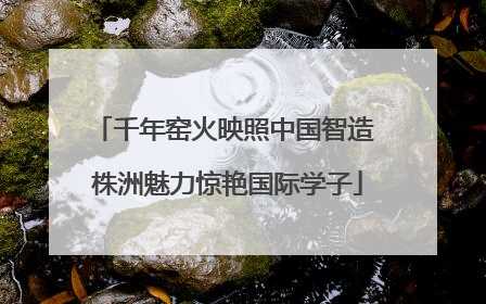 千年窑火映照中国智造 株洲魅力惊艳国际学子