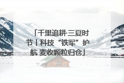 千里追耕·三夏时节丨科技“铁军”护航 麦收颗粒归仓
