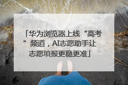 华为浏览器上线“高考”频道，AI志愿助手让志愿填报更稳更准