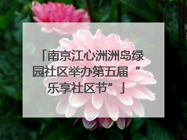 南京江心洲洲岛绿园社区举办第五届“乐享社区节”
