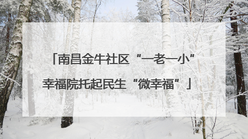 南昌金牛社区“一老一小”幸福院托起民生“微幸福”