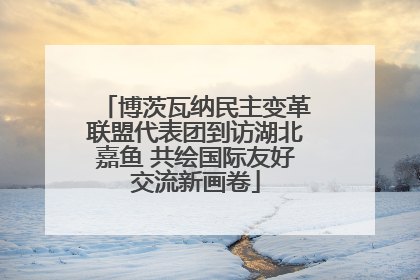 博茨瓦纳民主变革联盟代表团到访湖北嘉鱼 共绘国际友好交流新画卷