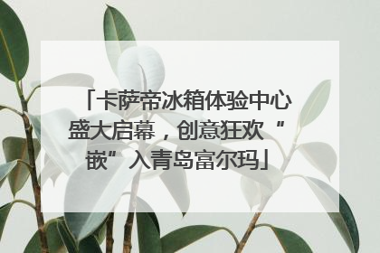 卡萨帝冰箱体验中心盛大启幕，创意狂欢“嵌”入青岛富尔玛
