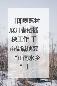 即墨蓝村展开春稻插秧工作 千亩盐碱地变“江南水乡”