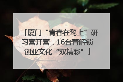 厦门“青春在鹭上”研习营开营，16台青解锁创业文化“双精彩”