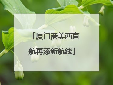 厦门港美西直航再添新航线