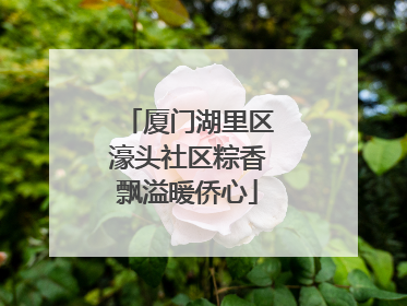 厦门湖里区濠头社区粽香飘溢暖侨心